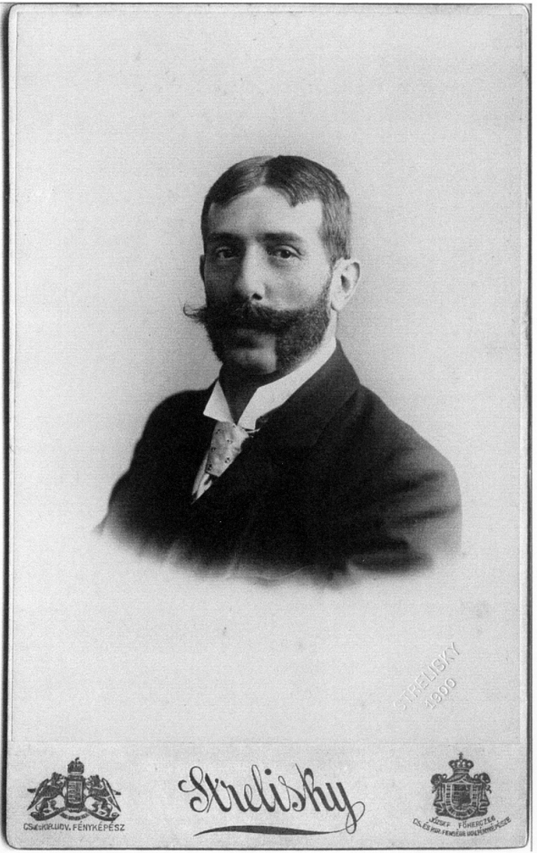 Barcza Károly (1858-1919), a közegészségügyi  mérnöki szolgálat első vezetője